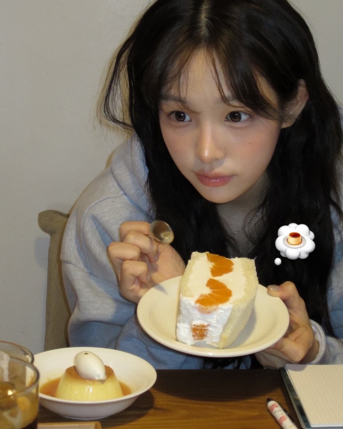 Canon 캐논 IXUS 익서스 115HS 상품이미지3