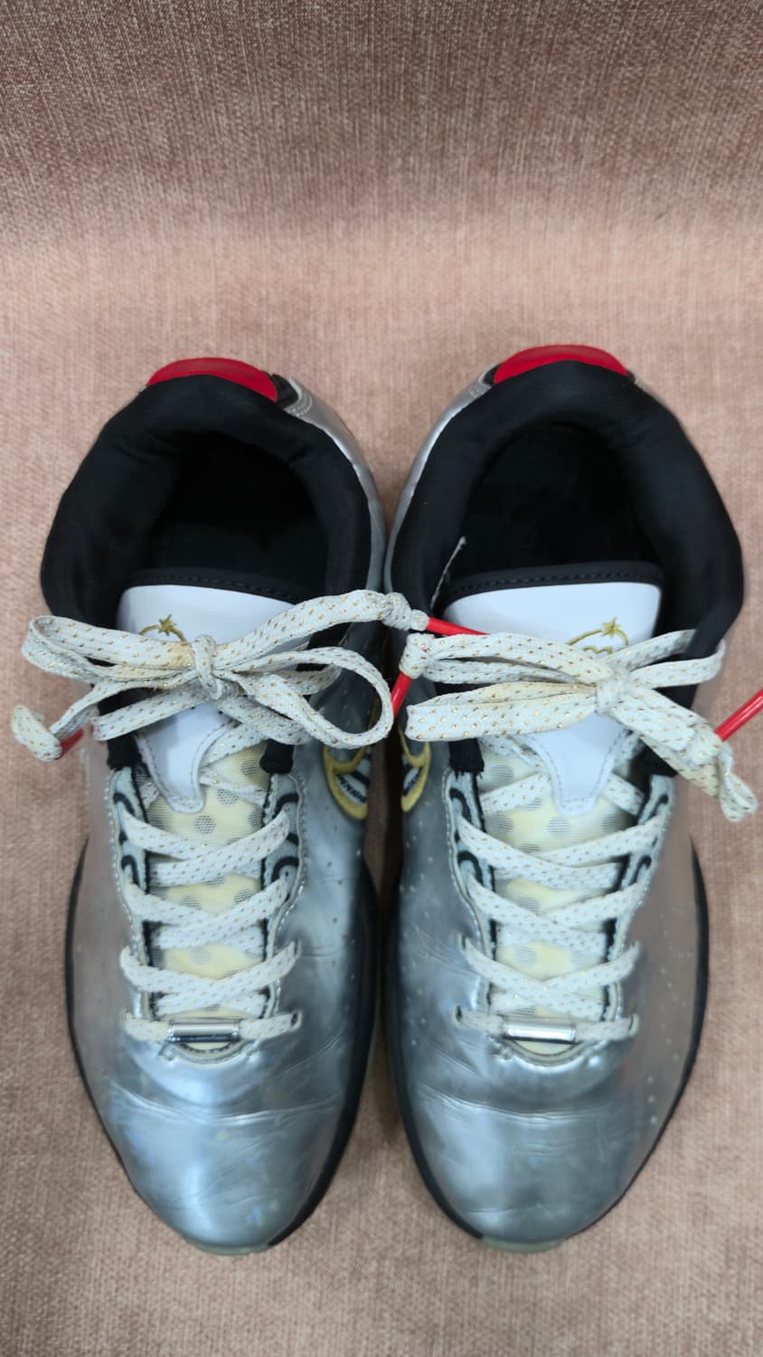 나이키 250mm- 르브론 21 SE GS 메탈릭 실버 메탈릭 골드 상품이미지2