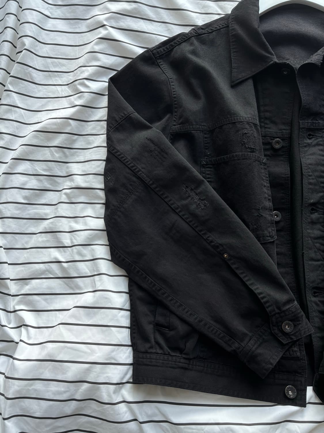 폴리테루 사시코 (3) 상품이미지4