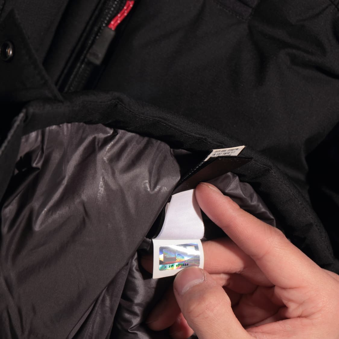 노스페이스 히말라야 서밋시리즈 800 패딩 상품이미지6