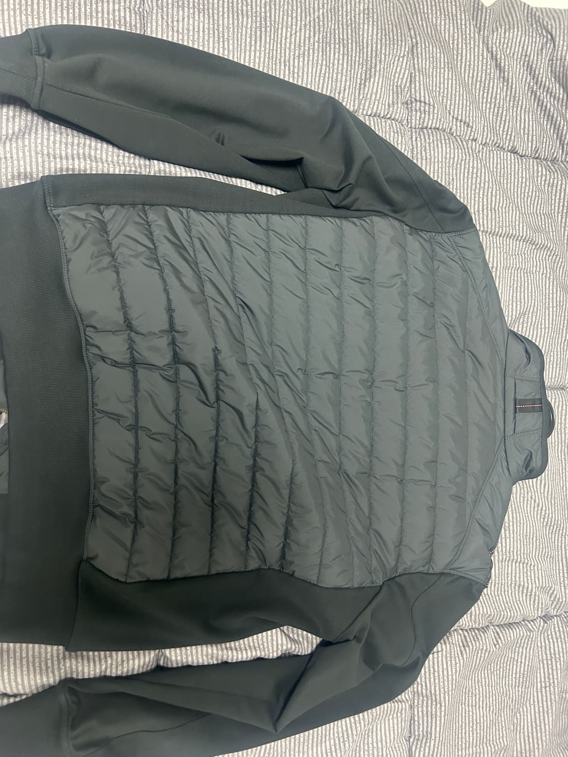 23fw 파라점퍼스 엘리엇 경량패딩 상품이미지2