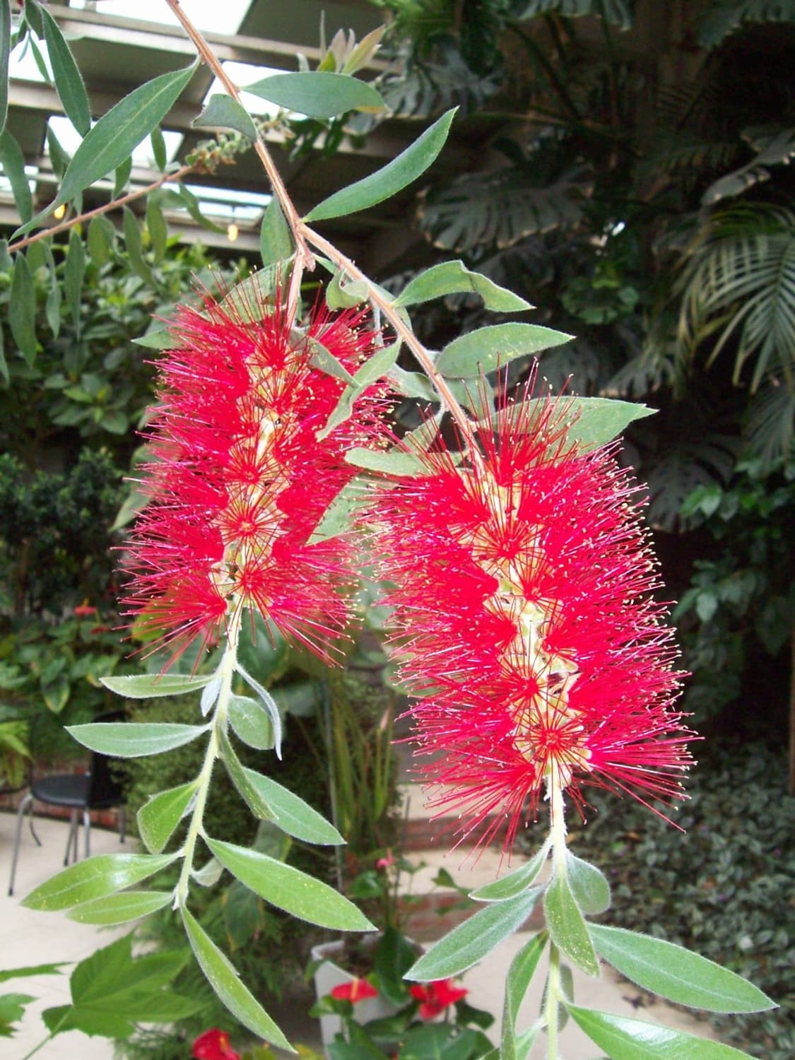 코닥 이지쉐어 C613 펄 화이트 Kodak Easyshare C613  상품이미지9