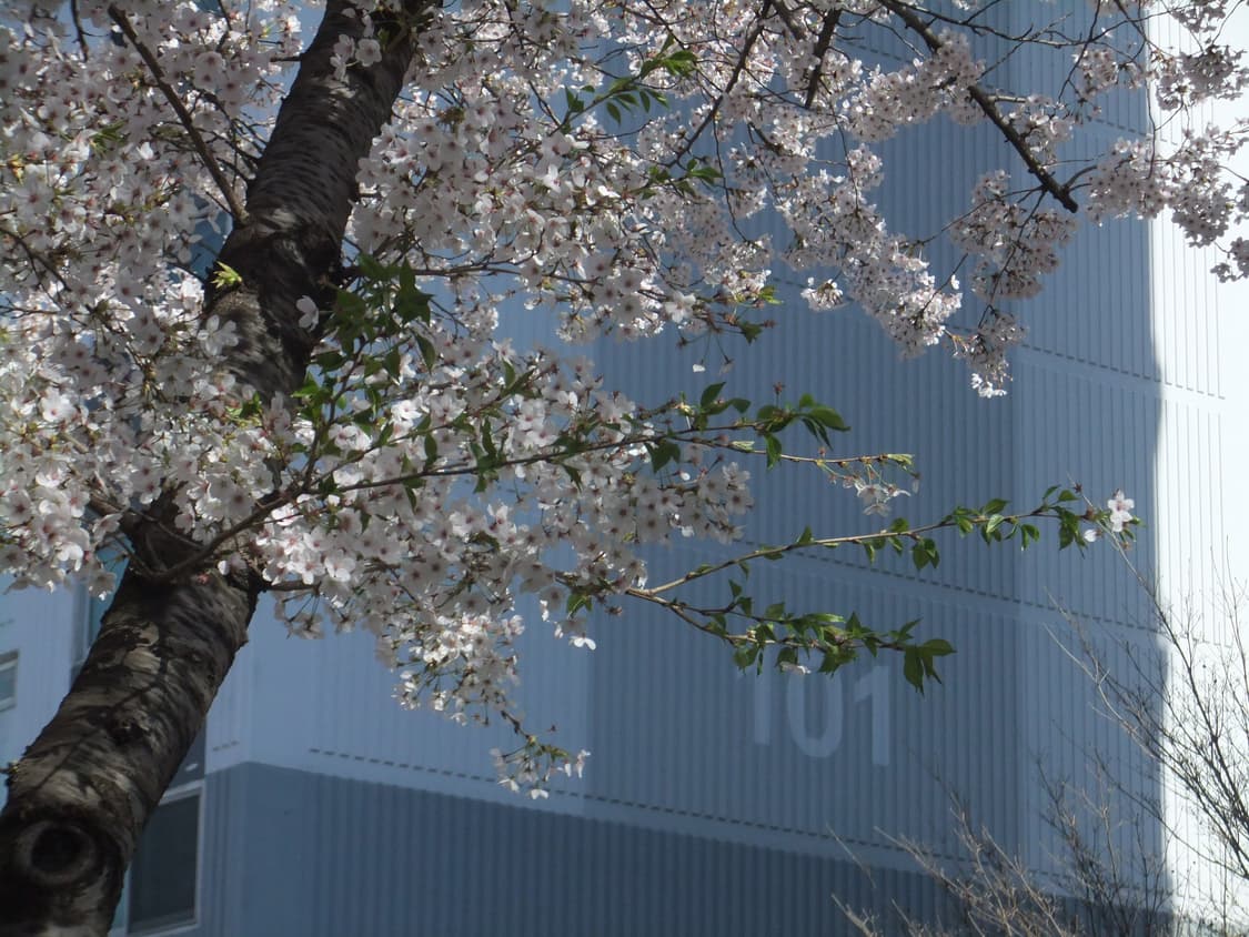 후지필름 파인픽스 f80exr (설명 참고) 상품이미지10