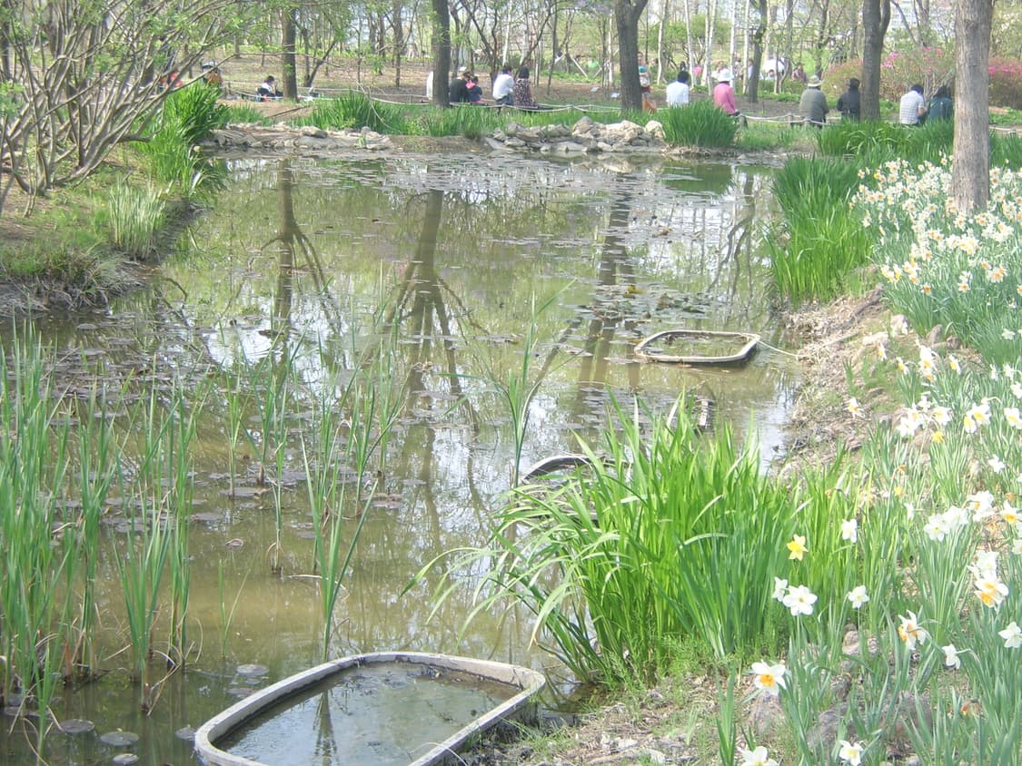 삼성 케녹스 D60 디지털카메라 상품이미지9