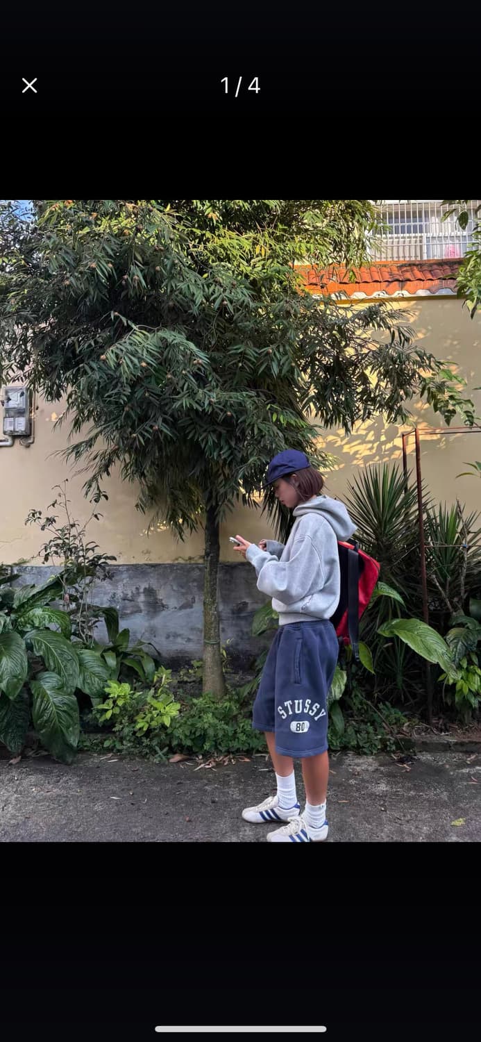 Designer Collection 상품이미지3