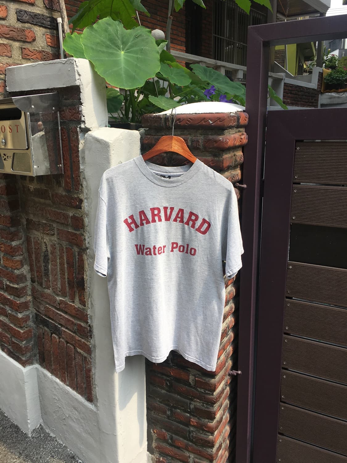 Hanes 헤인즈 하버드 워터폴로 반팔 티셔츠 상품이미지7