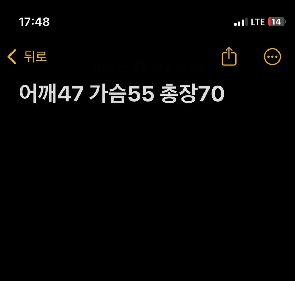 다이네즈 반팔 티셔츠 상품이미지10