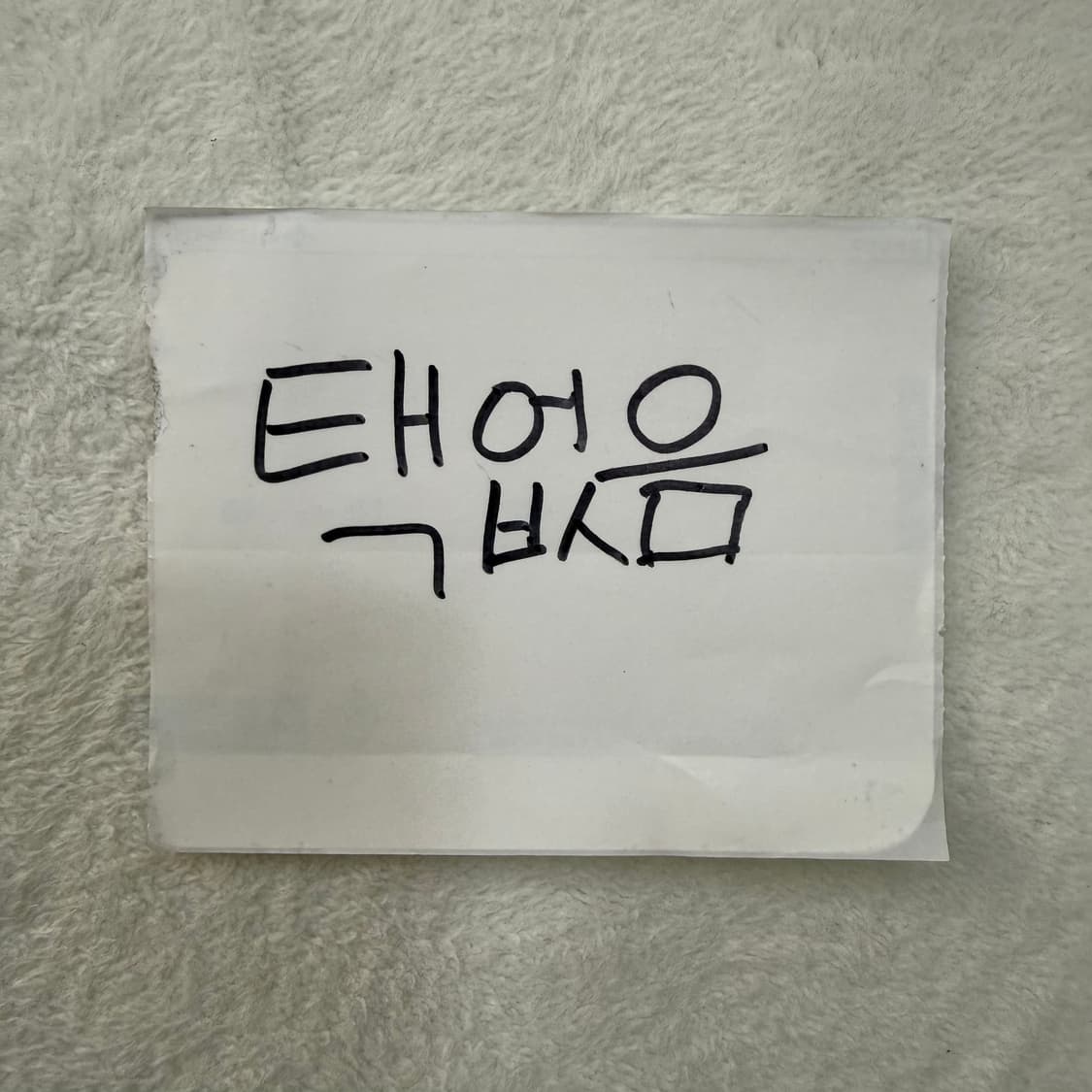 실측확인 고급 눈로고 니트 티셔츠 0324T 상품이미지3