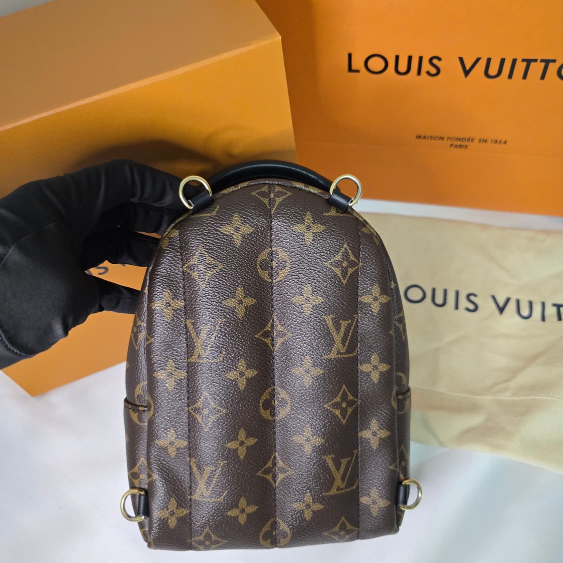 루이비통 팜 스프링스 미니 (M44873) 상품이미지2