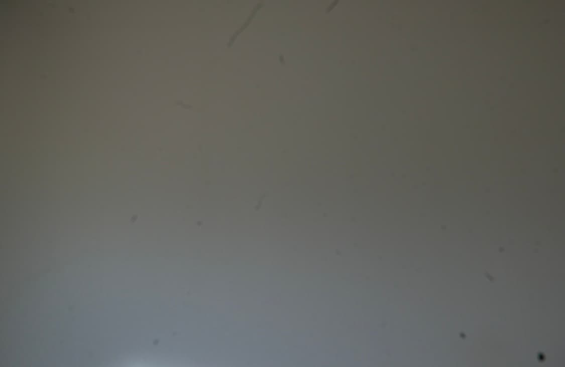 Leica d-lux 109 상품이미지10