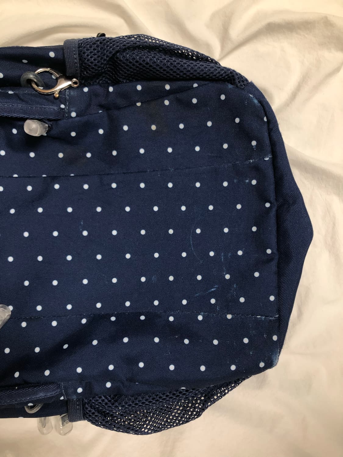 콜맨 네이비 도트 땡땡이 백팩 배낭 가방 상품이미지2