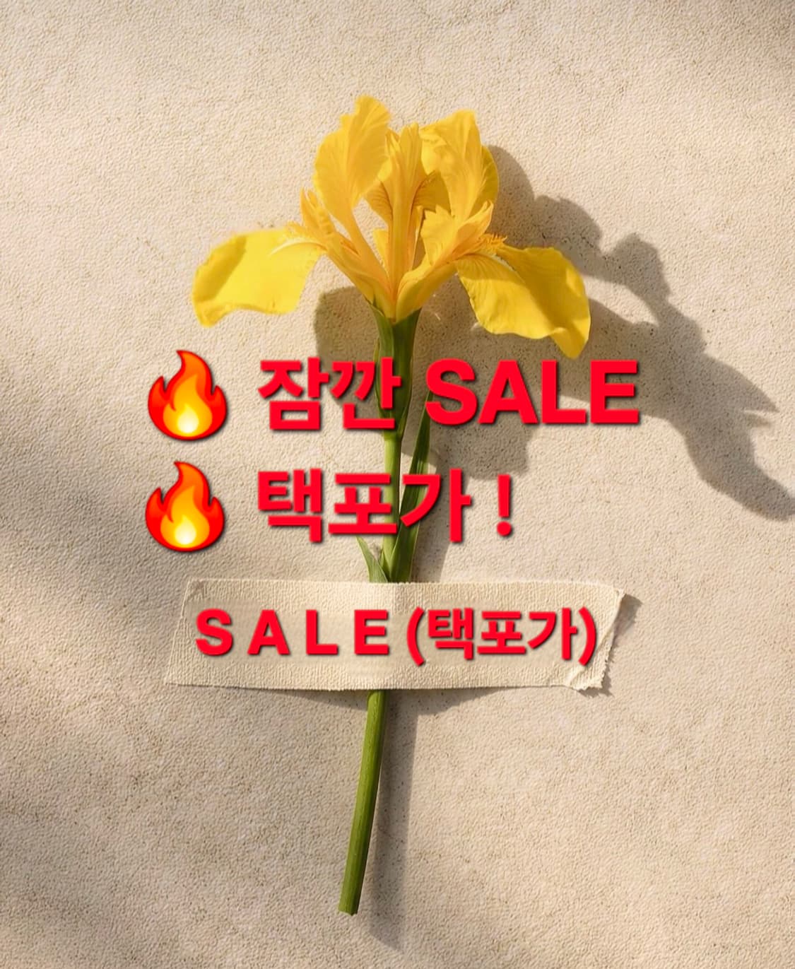 🔥잠깐 세일 진행합니다🔥 상품이미지1