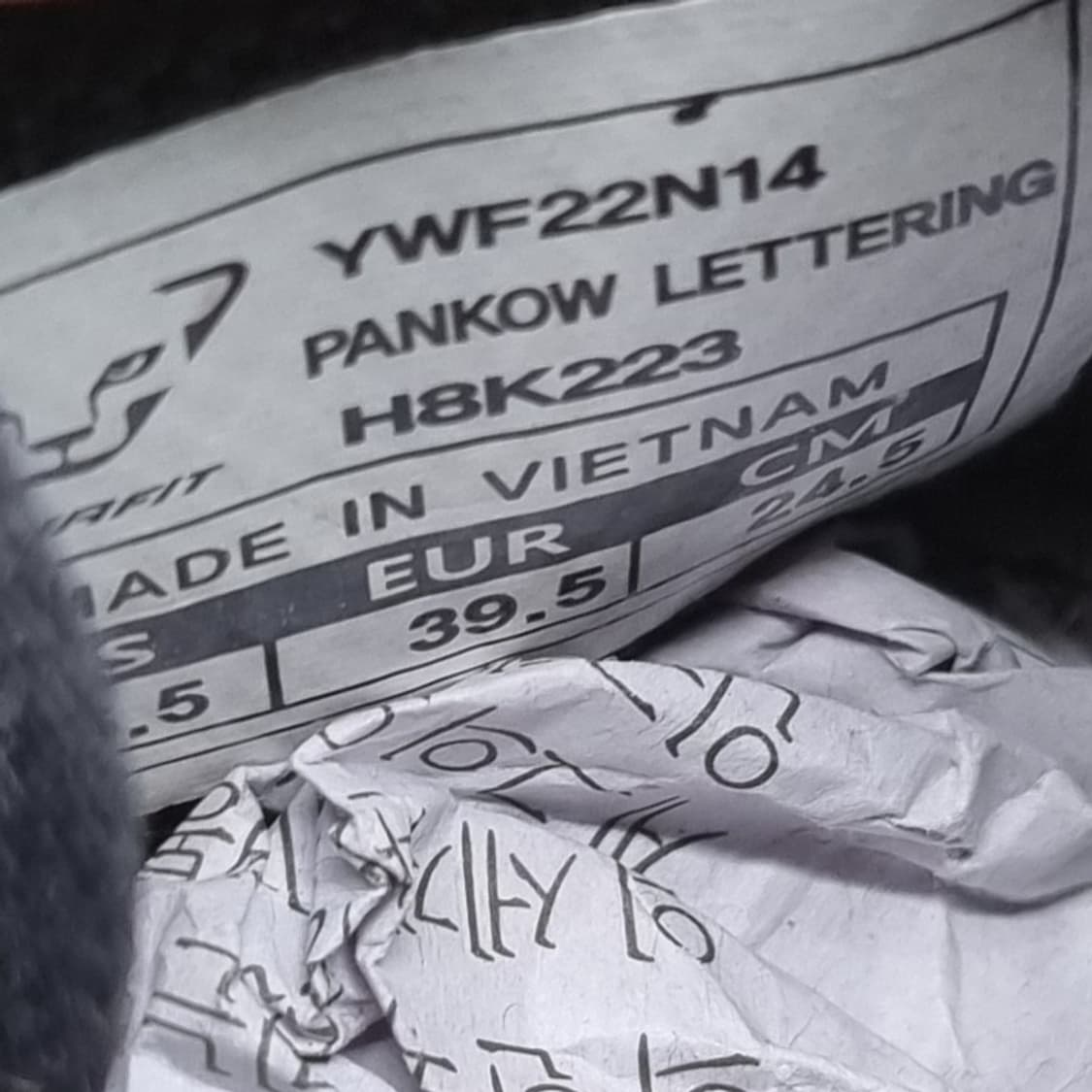 다이나핏 팬코 레터링 스니커즈245 상품이미지6