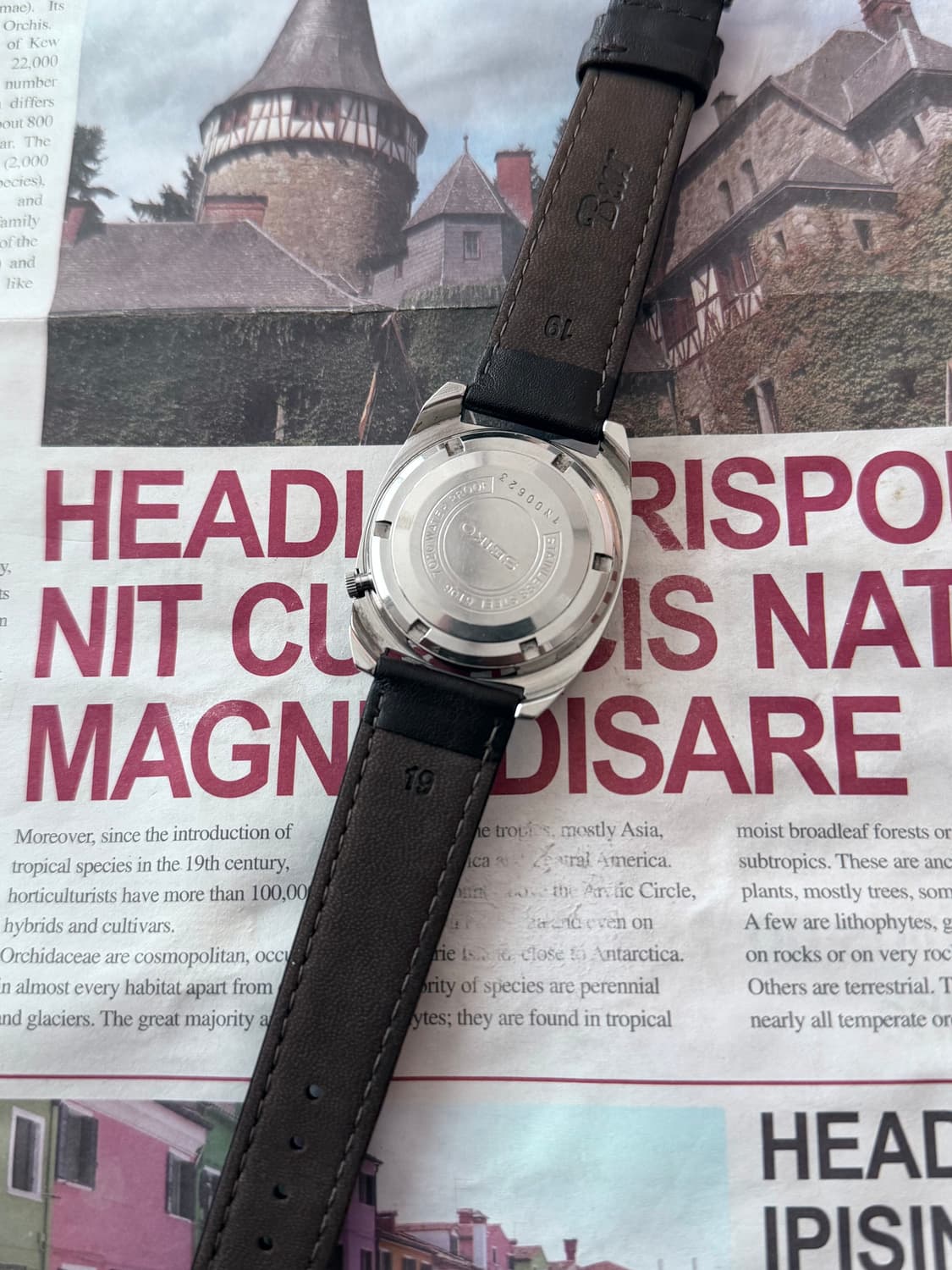 세이코 Seiko 5 DX 25석 데이데이트 오토매틱 상품이미지3