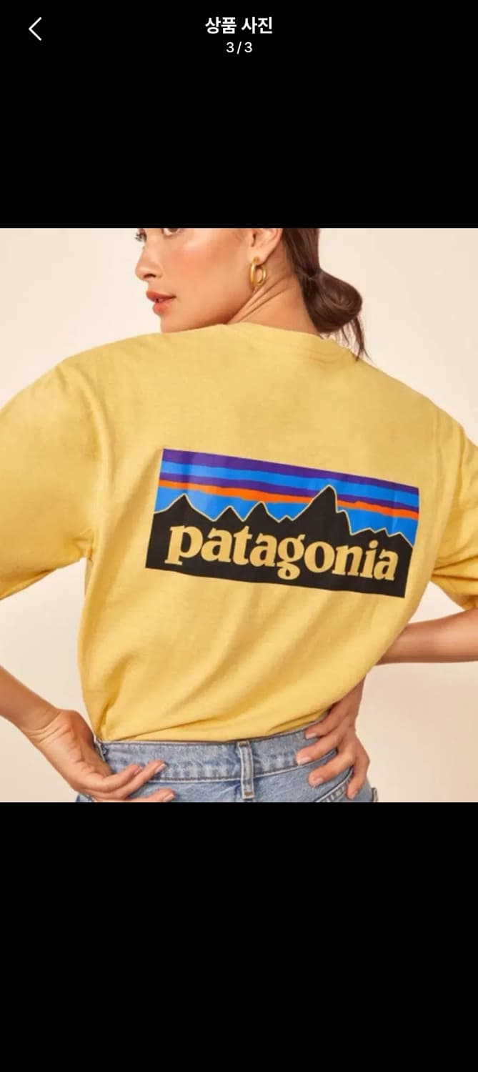 파타고니아 반팔티 L사이즈 상품이미지3
