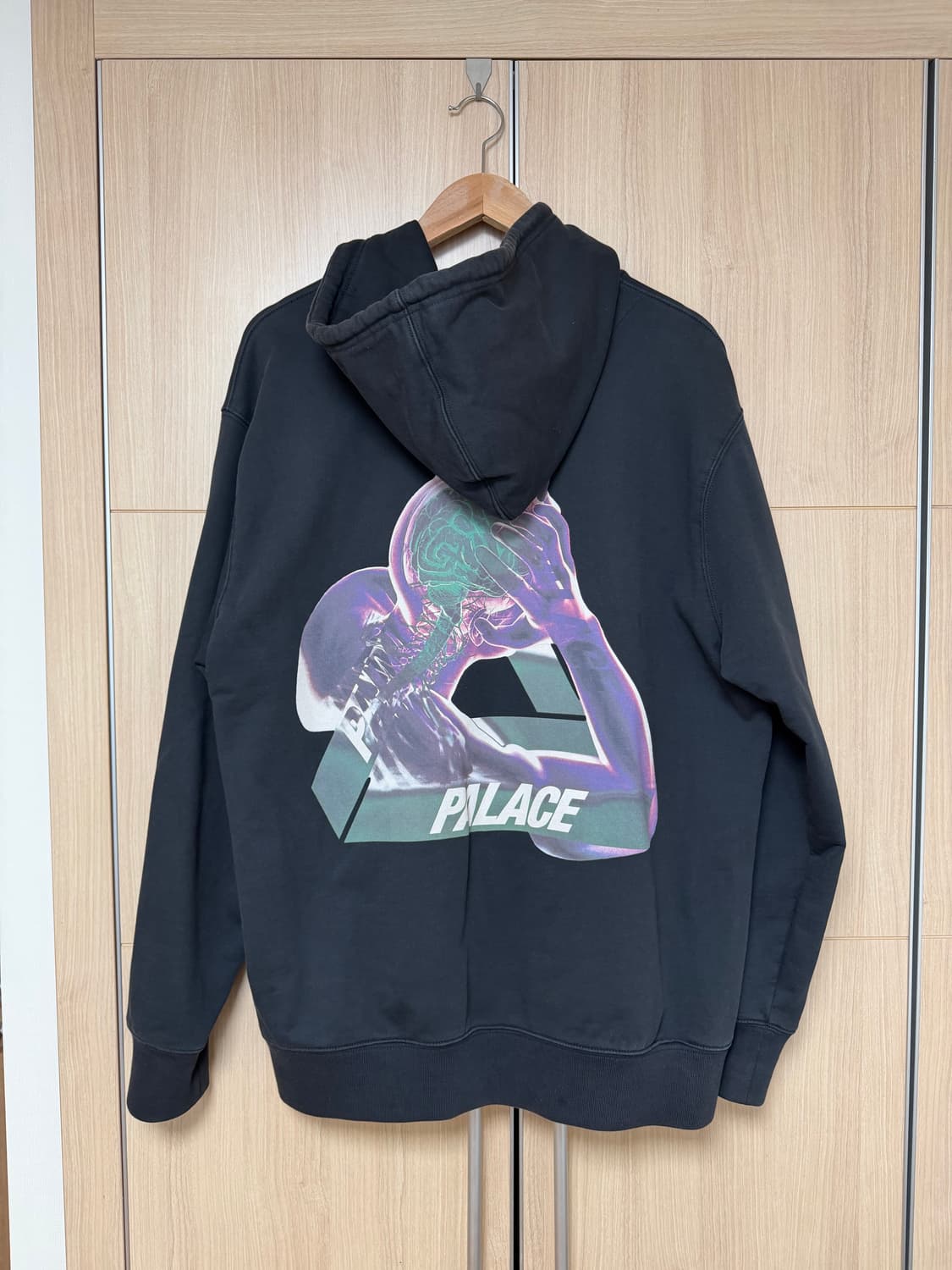 [XL] 팔라스 뇌하수체 후드티 상품이미지2