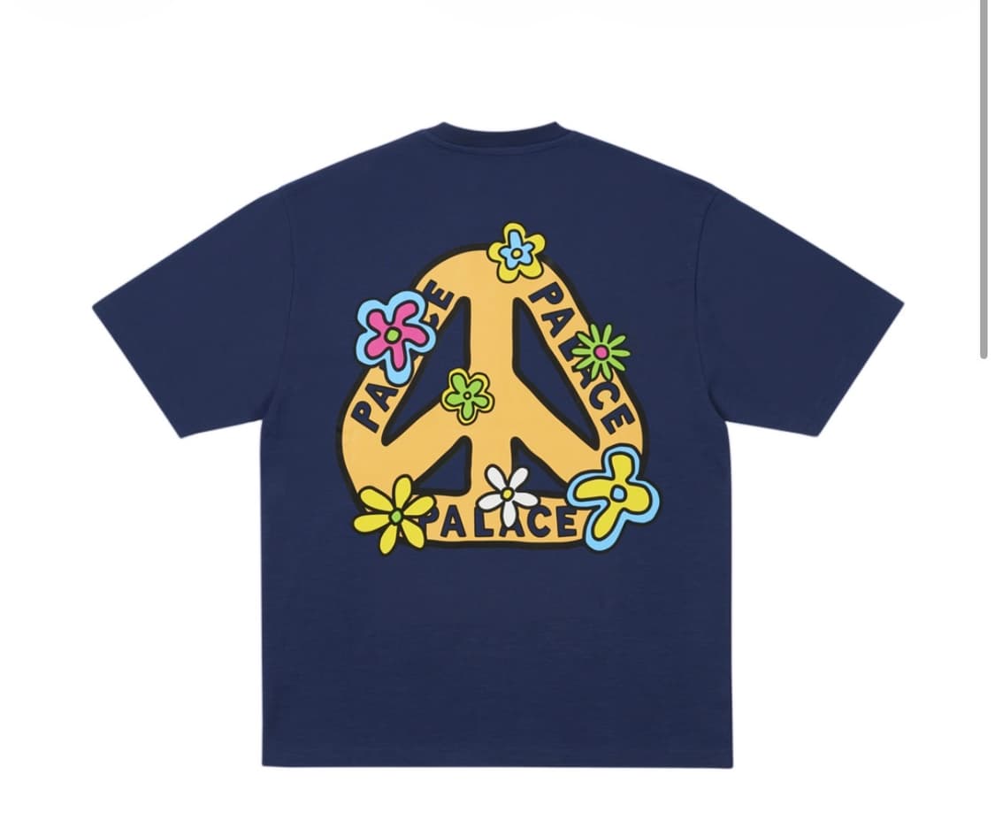 [M] 팔라스 미 마이셀프 앤 트라이 티셔츠 네이비 - 26SS 상품이미지1