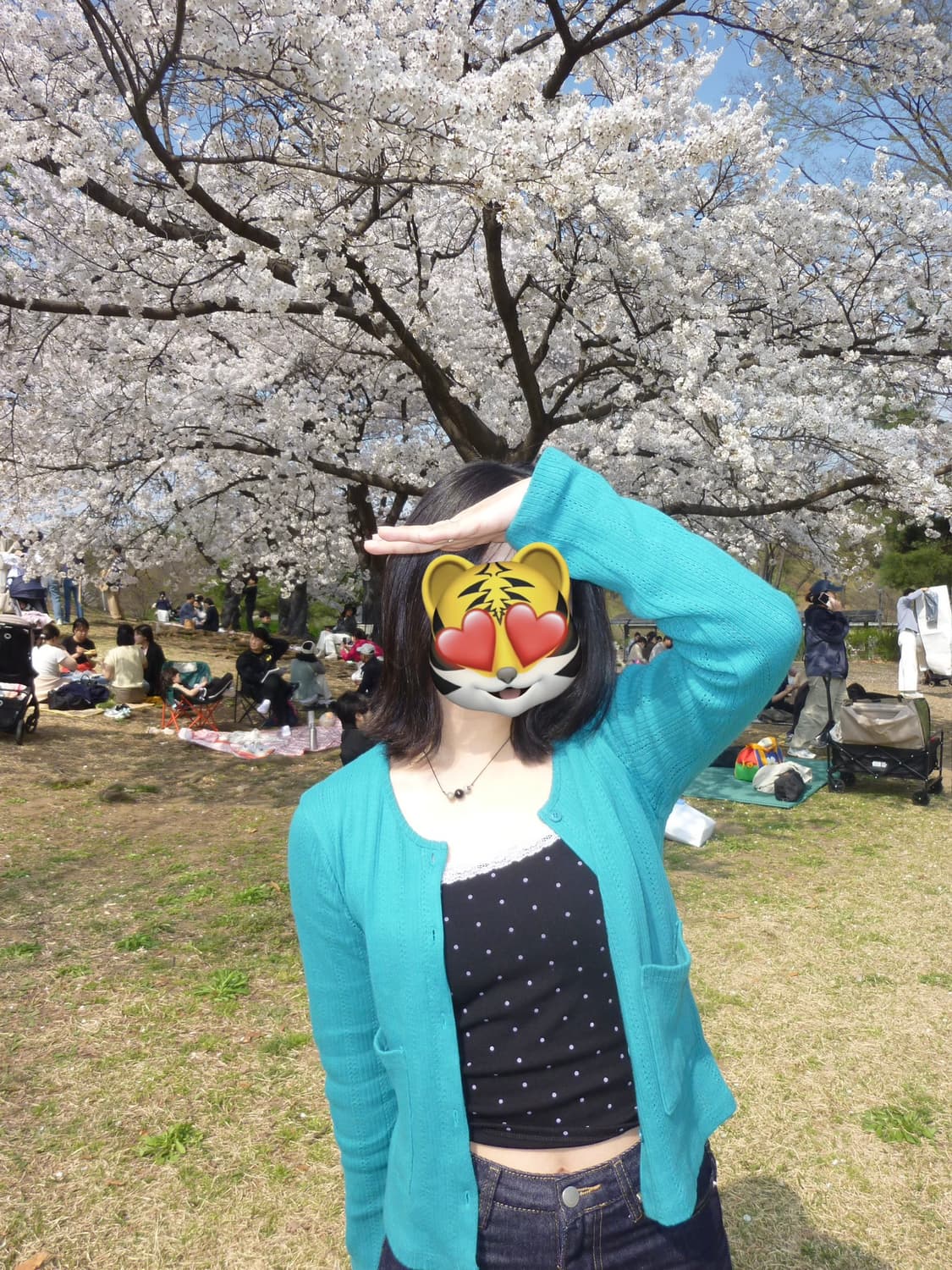 panasonic lumix 파나소닉 루믹스 DMC-ZX1 디카 작례O 상품이미지8