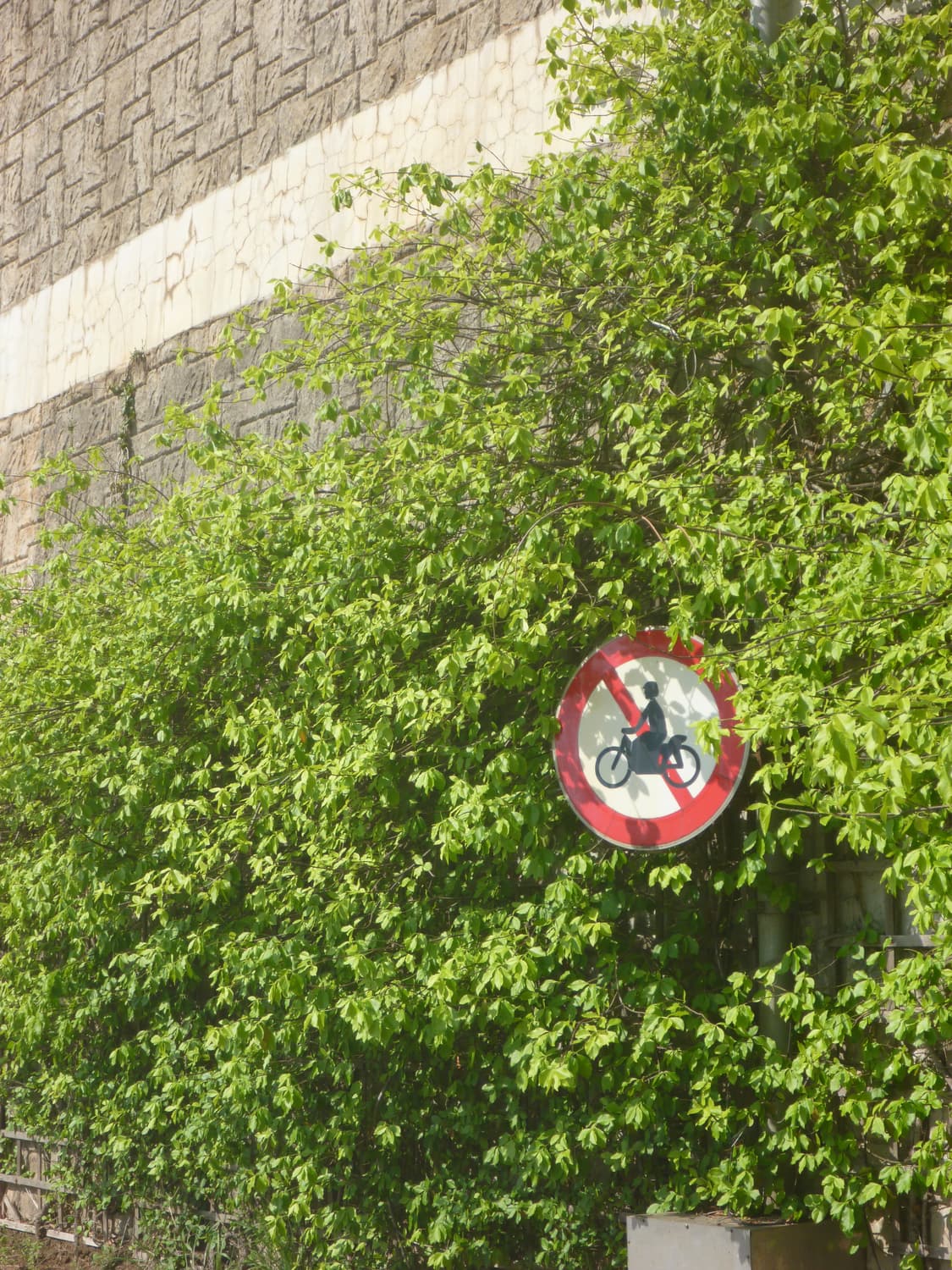 희귀컬러 ! 파나소닉 루믹스 DMC-FT2 빈티지디카 디지털카메라 상품이미지4