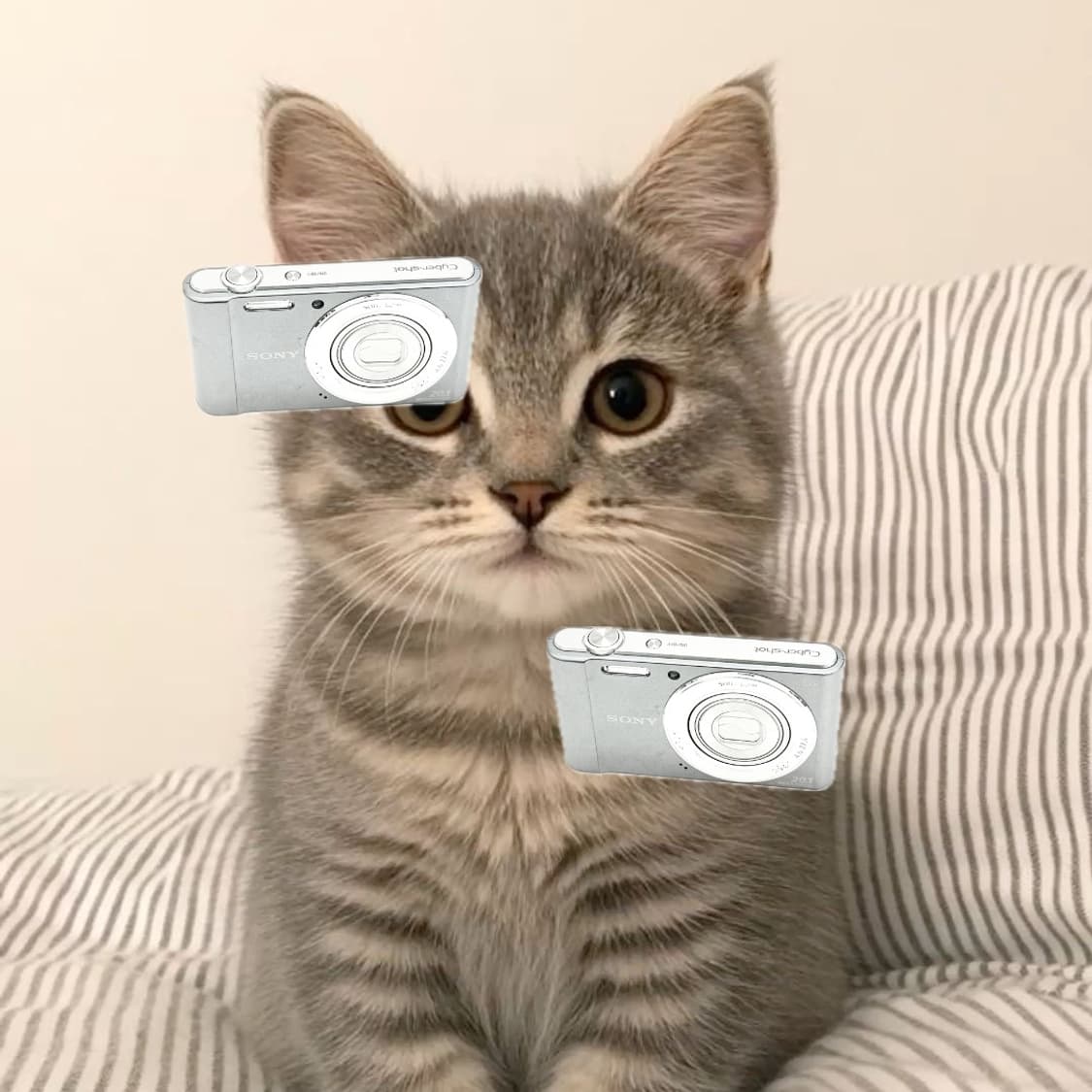 희귀&강추!) Sony Cyber-shot W810 디카 카메라 상품이미지1