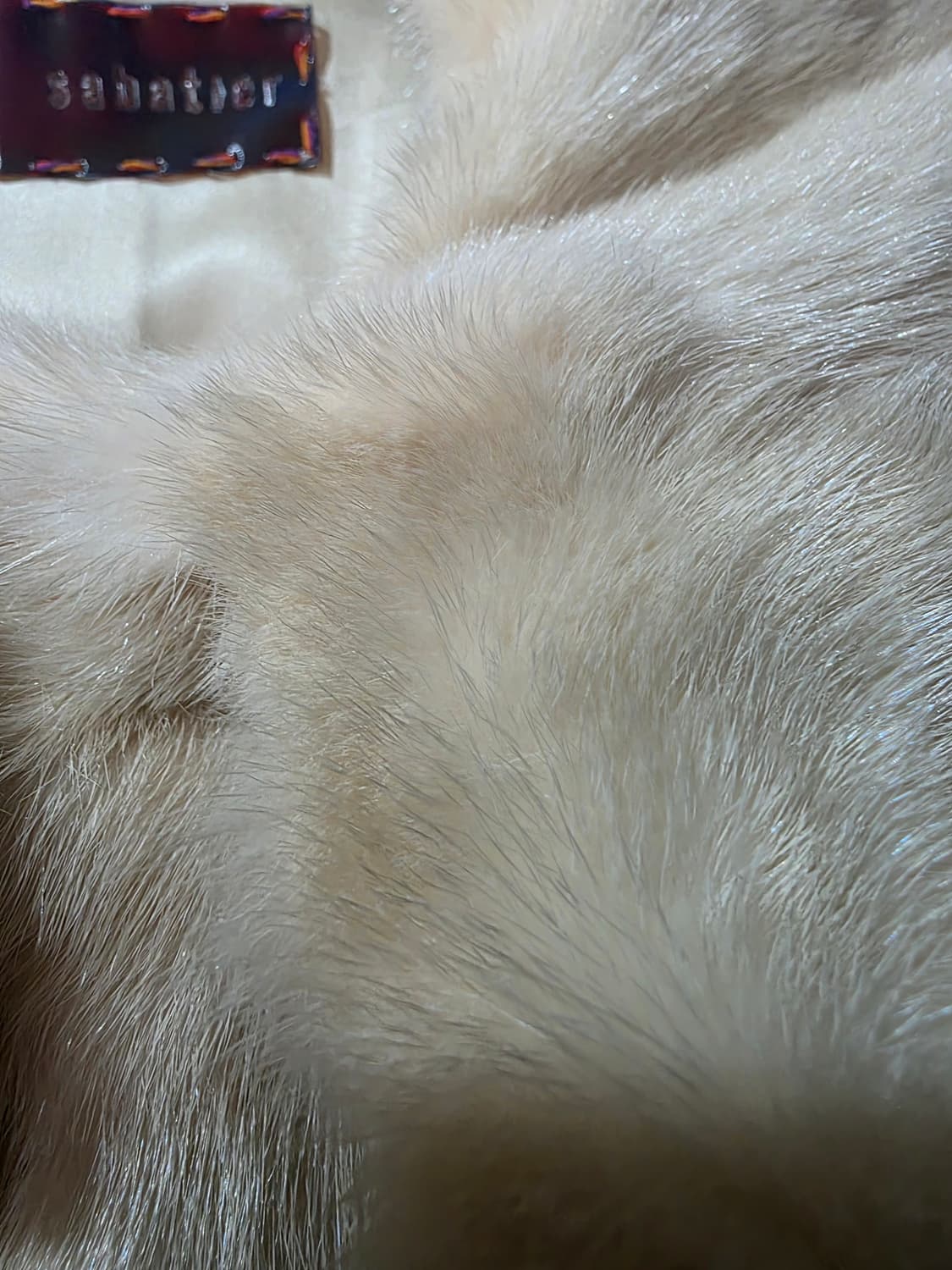 사바티에(sabatier) 상품이미지5