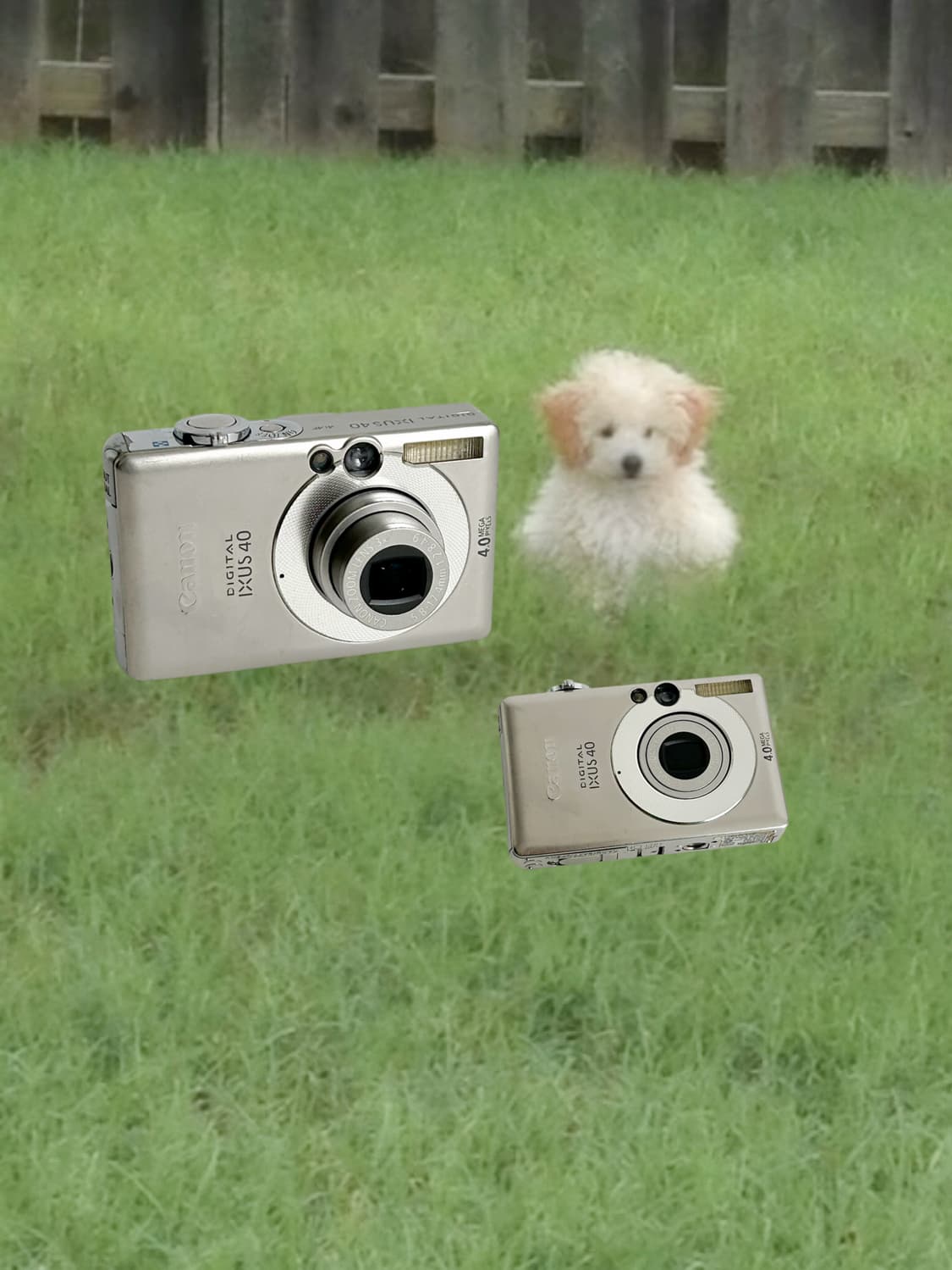 인기!) 캐논 익서스 40 익시50 빈티지 디카 상품이미지1