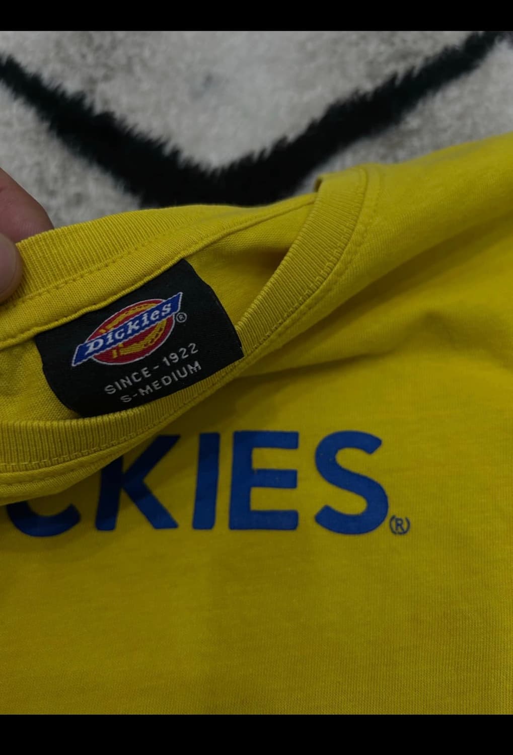 디키즈 반팔티 상품이미지4