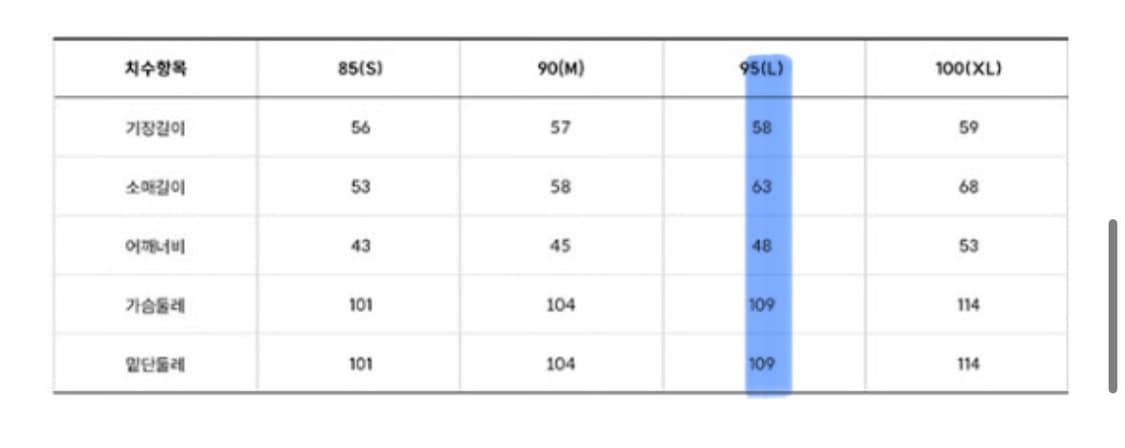 (w) 노스페이스 1996 눕시 L (크림베이지) 상품이미지5