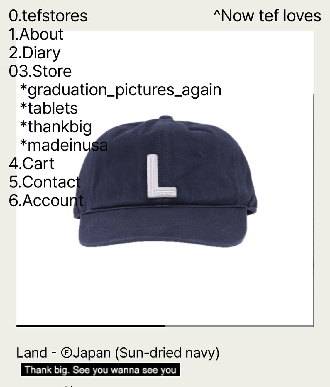 [L] 테프스토어즈 새상품 L사이즈 상품이미지1