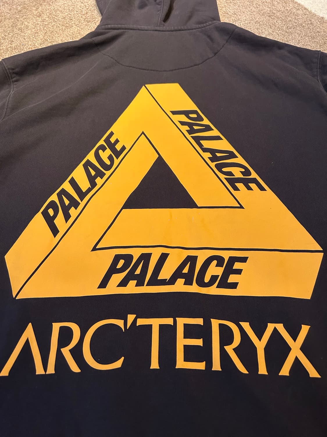 105 팔라스 아크테릭스 후드 블랙 상품이미지6