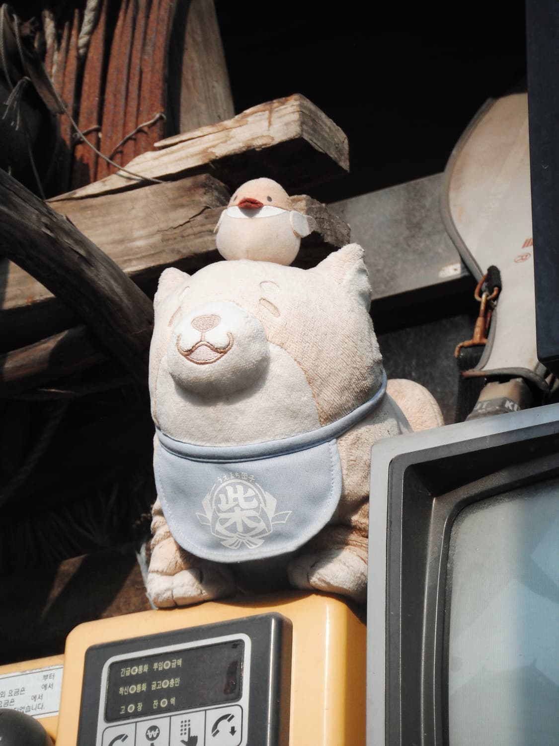 무료배송)후지필름 파인픽스 Z70 빈티지 디카 상품이미지8