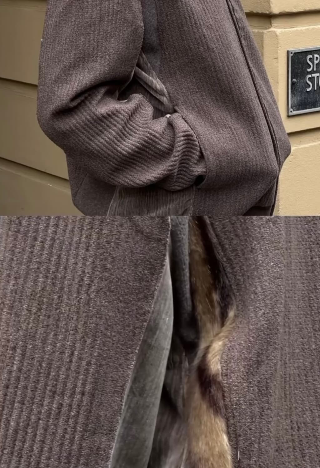 [S/새상품] XLIM EP.8 01 JERSEY DARK BROW 상품이미지3