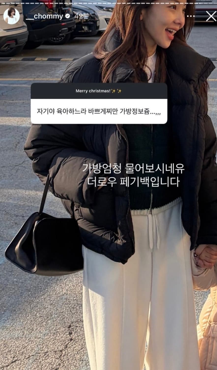 The row 더로우 페기백 새상품 상품이미지5