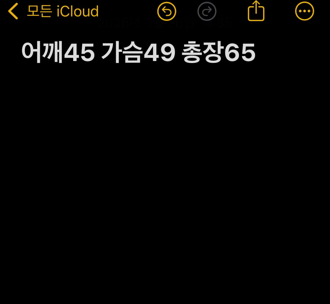 폴로랄프로렌 빅포니 카라티 화이트  상품이미지7