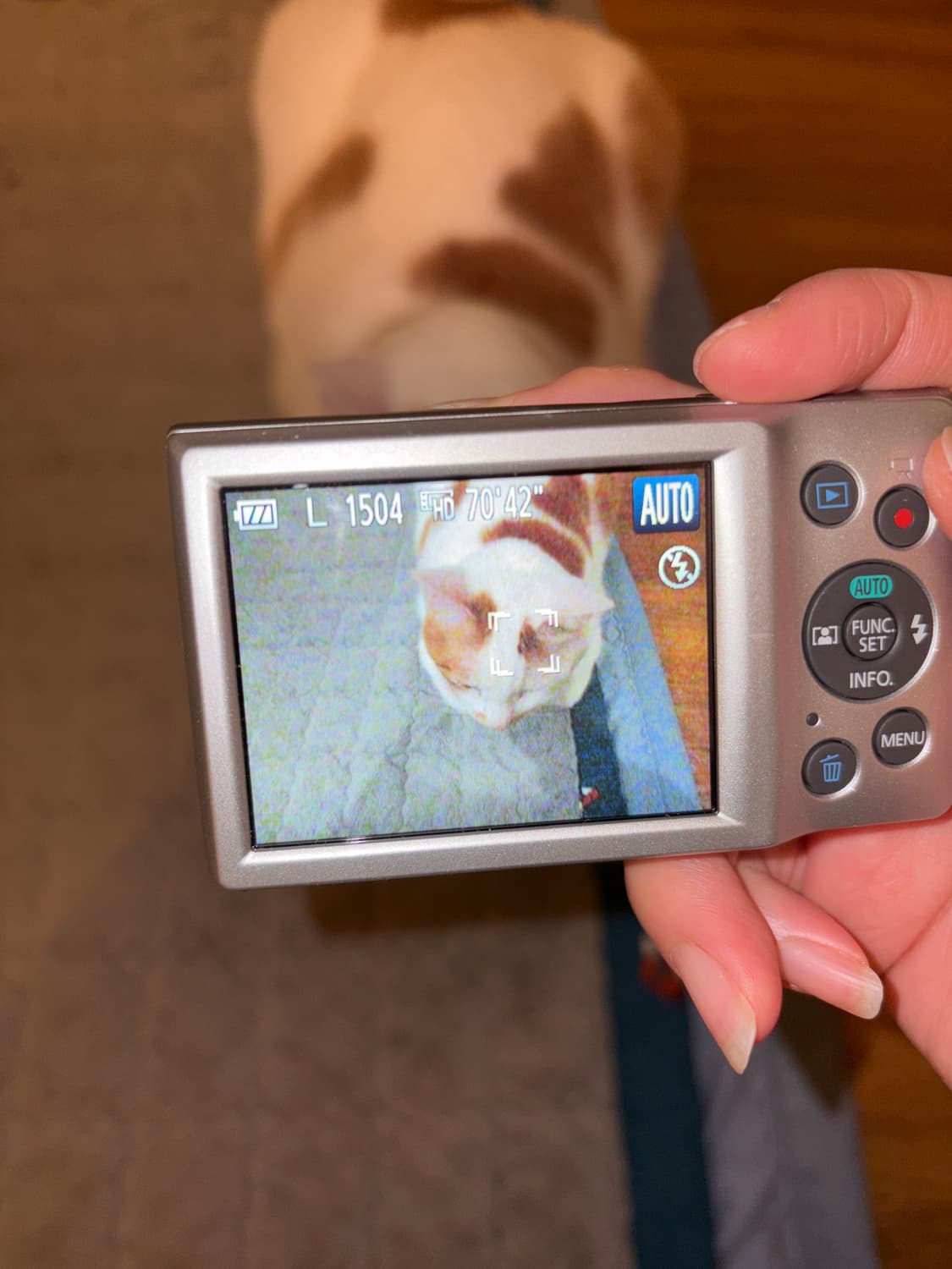 캐논 익서스 175 상품이미지3