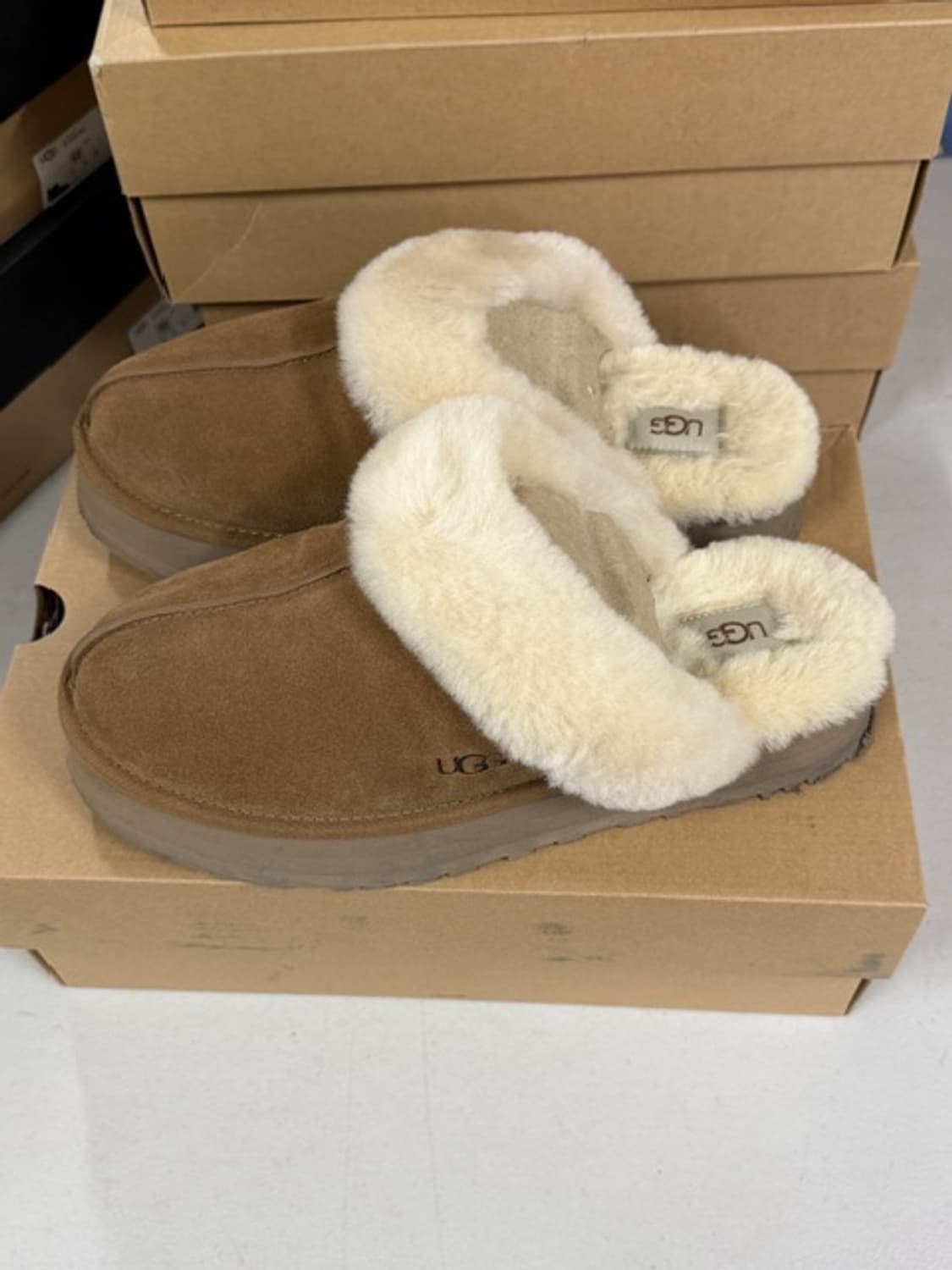 [ 290 ] 어그 디스케트 체스트넛 남성용 상품이미지3