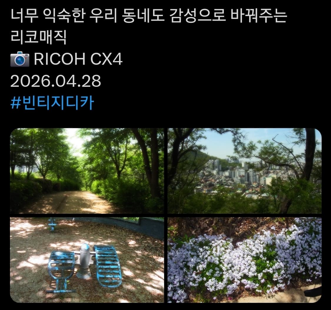리코 cx4 골드베이지 빈티지 디카 상품이미지8