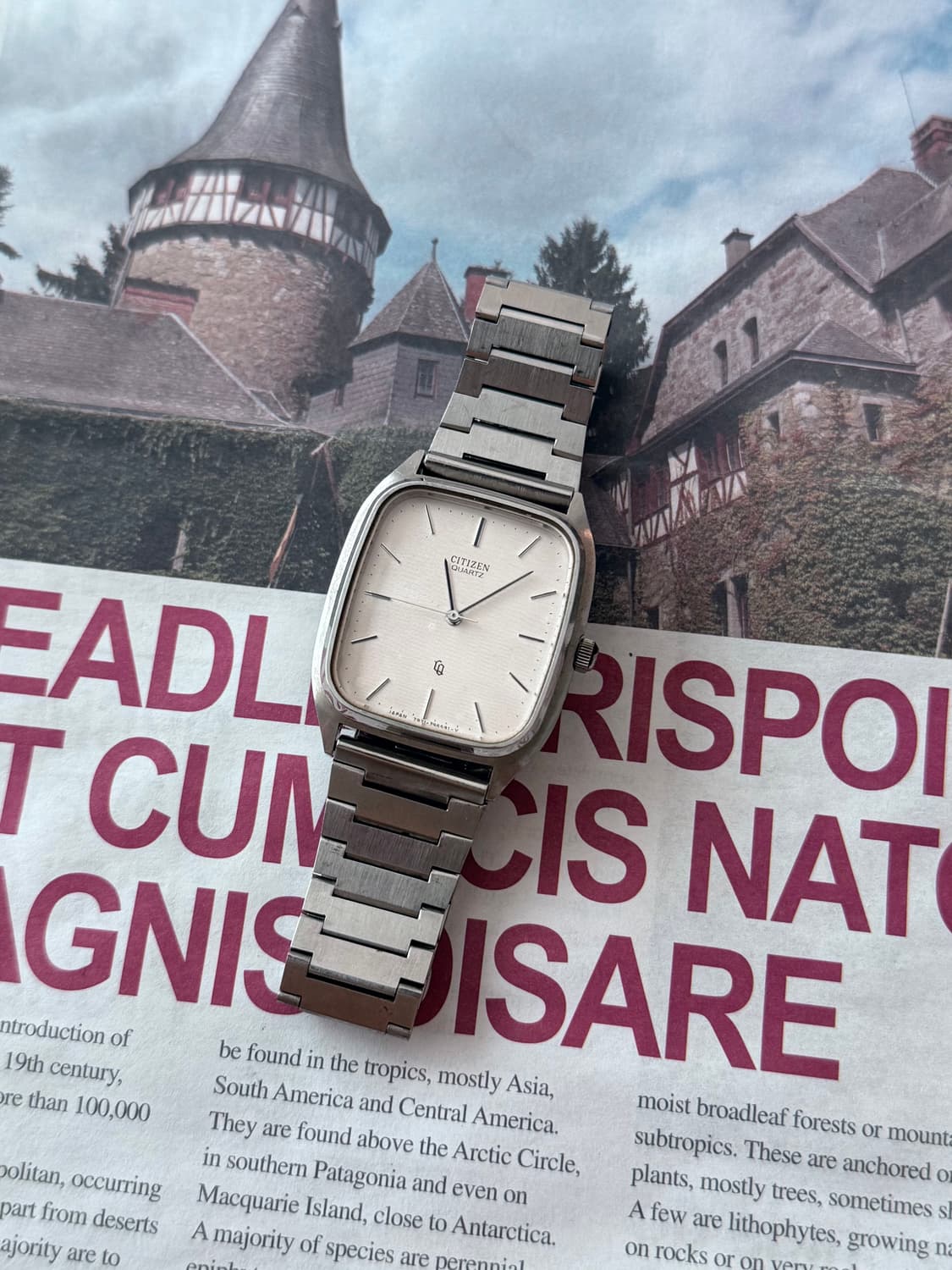 Citizen 시티즌 쿼츠 TV 케이스 CQ 상품이미지2