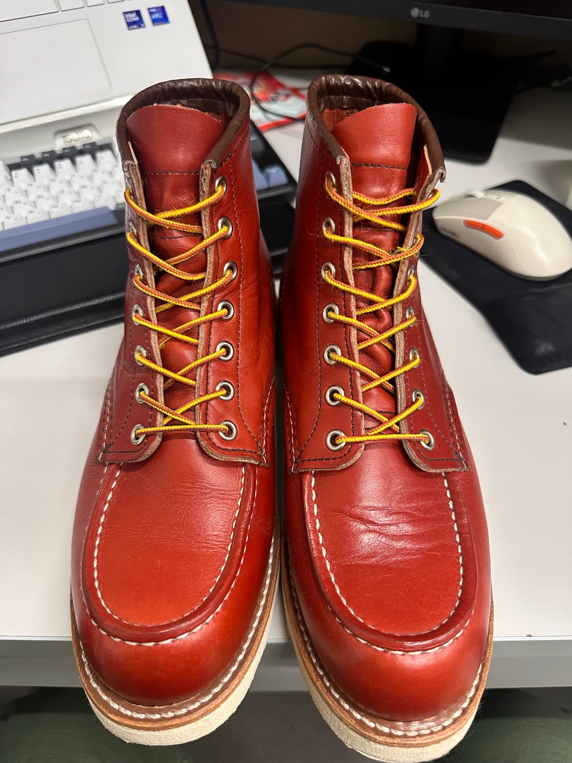 (260e) 레드윙 오로러셋 포티지 8875 상품이미지1