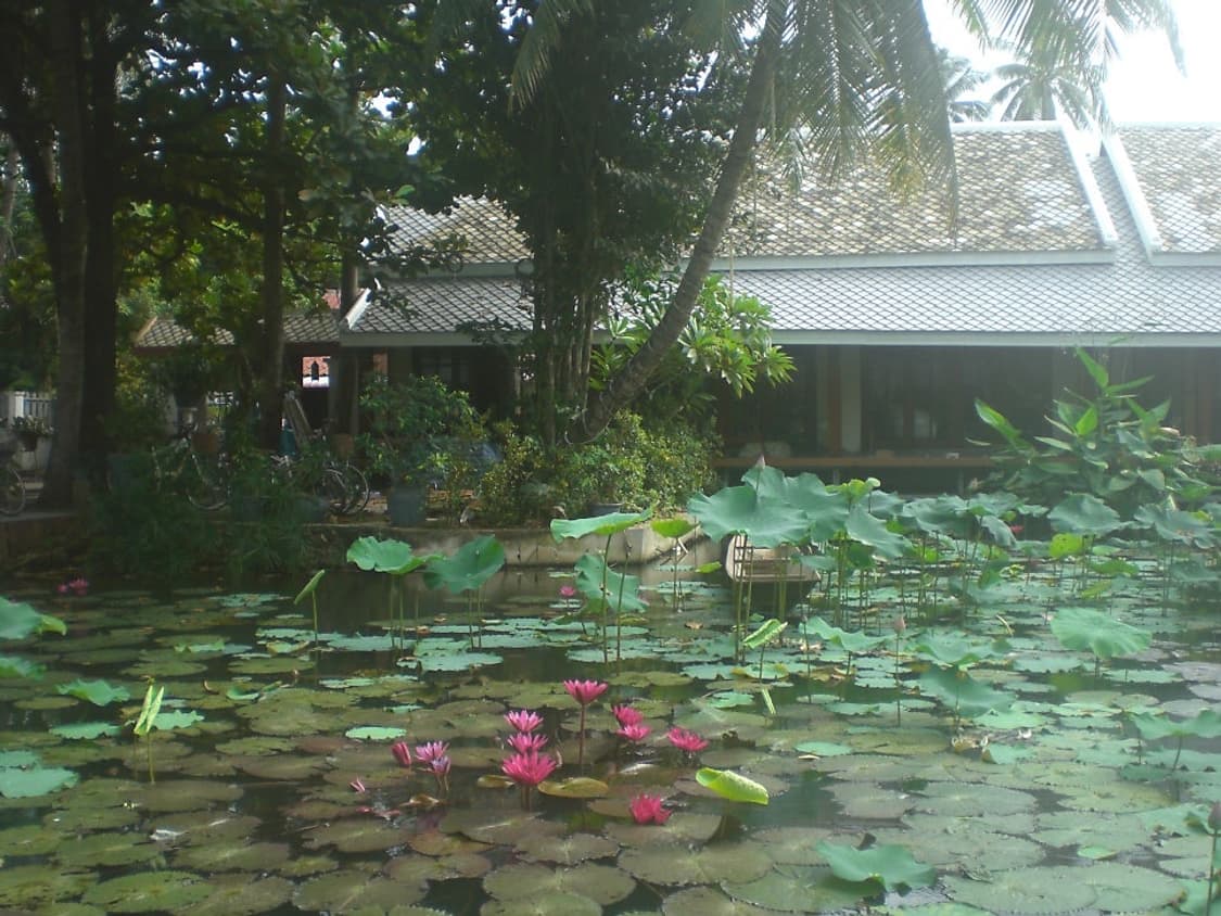 카시오 엑실림 EX-Z80 스카이블루 Casio Exilim EX-Z80 상품이미지9