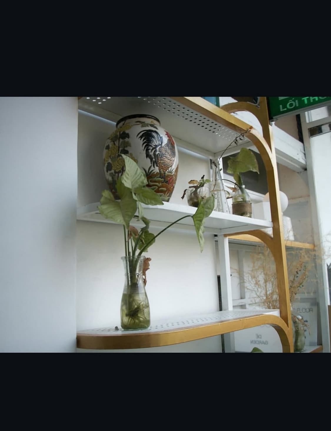 코니카 미놀타 디마지 x1 디지털카메라 상품이미지10