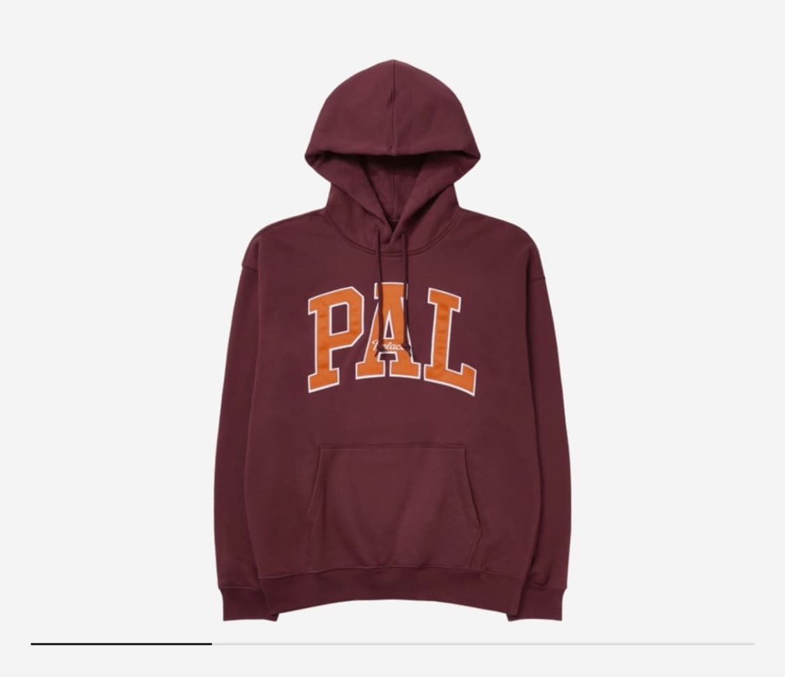 팔라스x갭 후디 상품이미지1