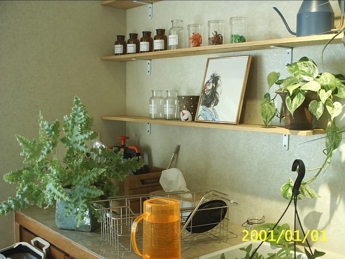 삼성 케녹스 디지맥스 201 빈티지 디지털 카메라 디카 상품이미지7