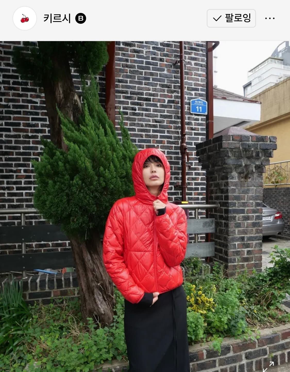 키르시 클라우드 크롭 다운 경량패딩 레드패딩 노스페이스 베이프 스투시 상품이미지5