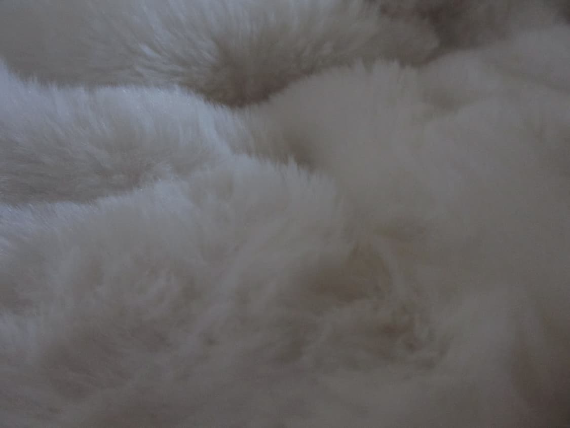 캐논 익서스 230hs 실버 ixus230 상품이미지7