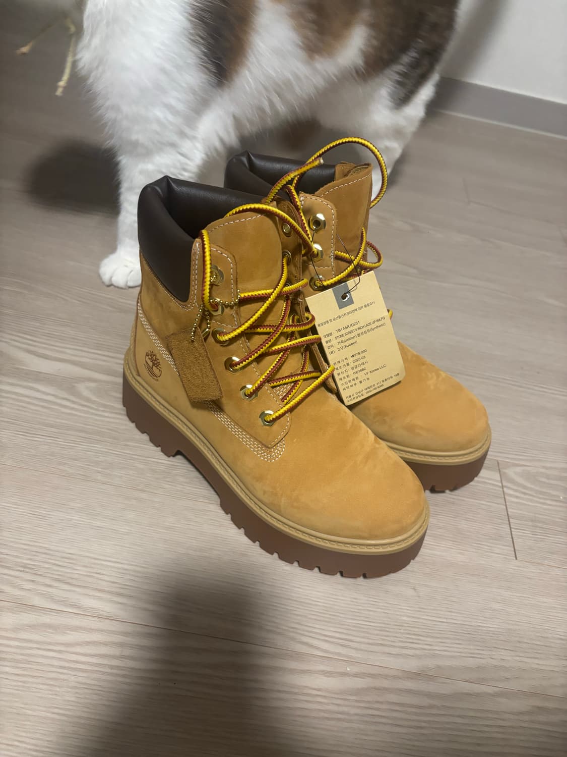 여성 6인치 프리미엄 워터프루프 플랫폼 부츠 / A5RJD-231 상품이미지3