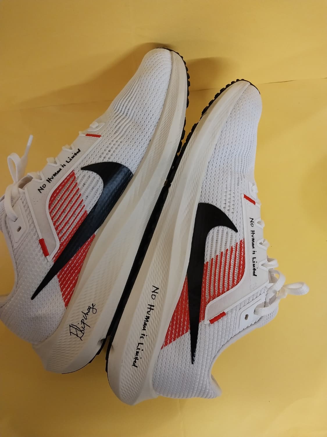 남성 나이키 페가수스 40 엘리우드 킵초게 런닝화, 운동화 (270) 상품이미지7