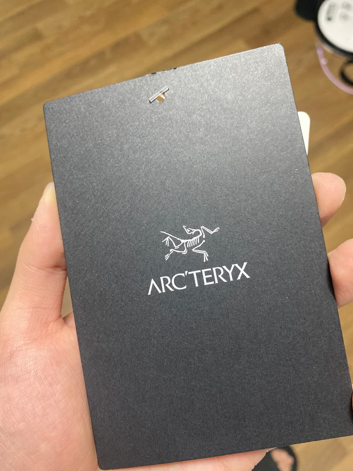 아크테릭스 아톰  상품이미지3