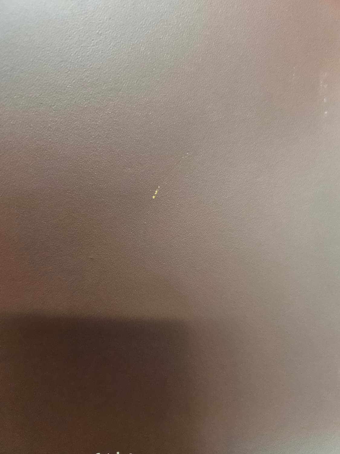캠브릿지 사첼백 상품이미지4