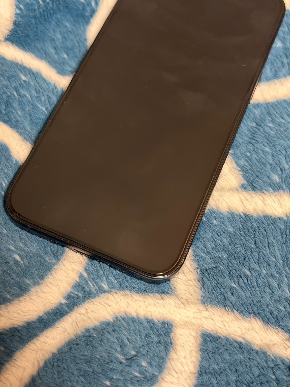 아이폰 15 Pro Max 블루 상품이미지5